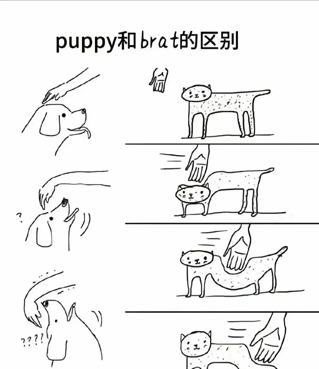 西檬之家-字母圈新人入圈指南：从基础术语到安全实践