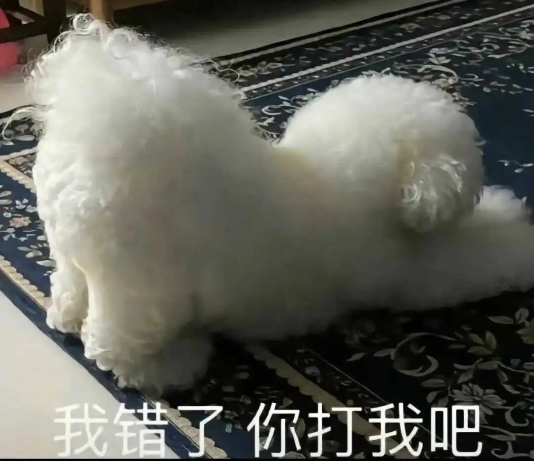 DS关系 - 2023_12_05_21_26_IMG_9543