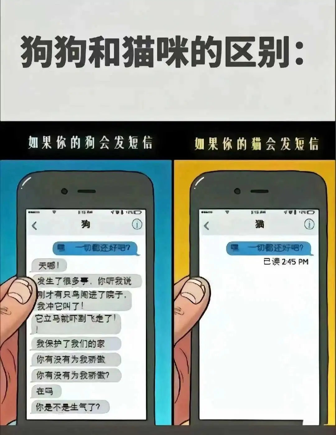 西檬之家-BDSM新人权威指南：安全、知情与信任