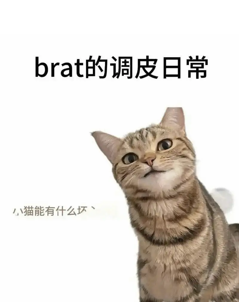 西檬之家-OTK是什么？字母圈OTK玩法解析