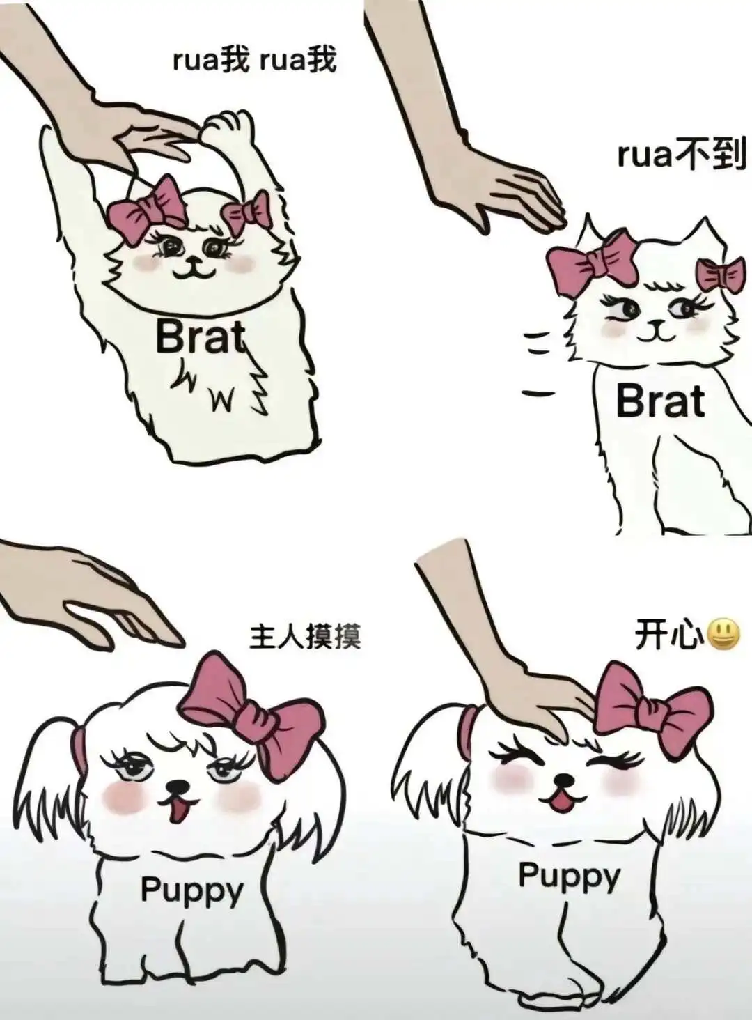 【西檬之家】BDSM字母圈新人权威指南