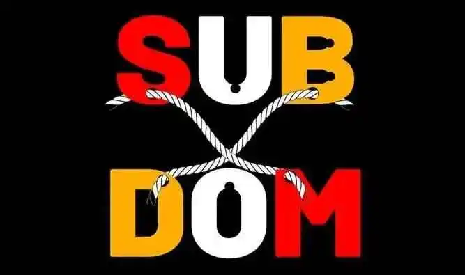 西檬之家-字母圈DOM是什么意思？