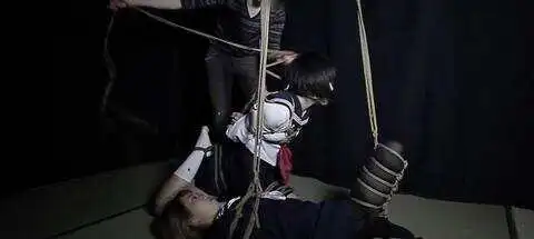 西檬之家-BDSM字母圈新人权威指南
