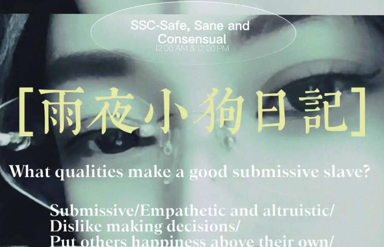 DS关系 - 微信图片_20240708154450
