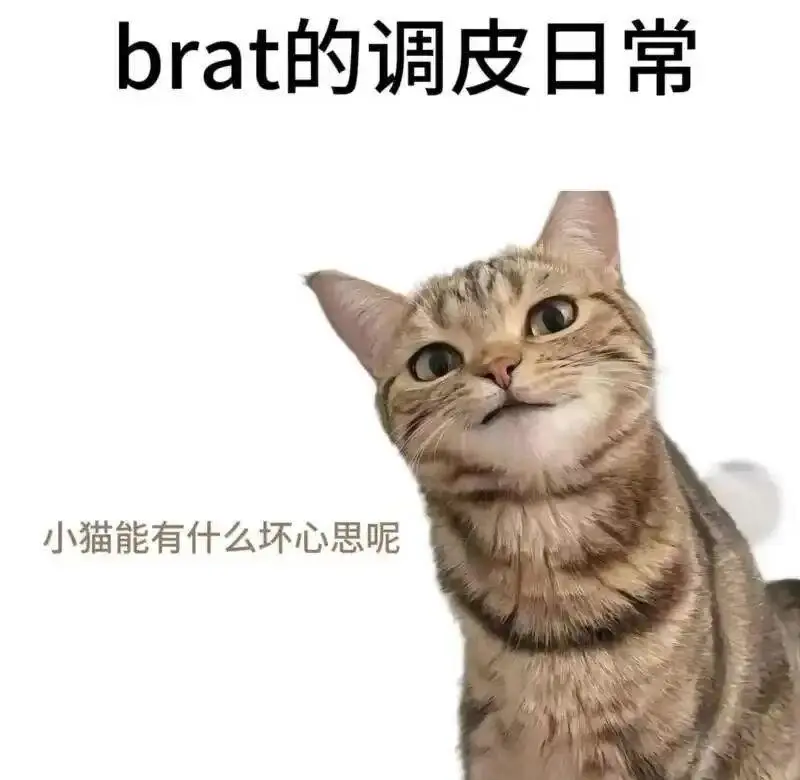 brat属性 - 微信图片_20251203212836_109_19